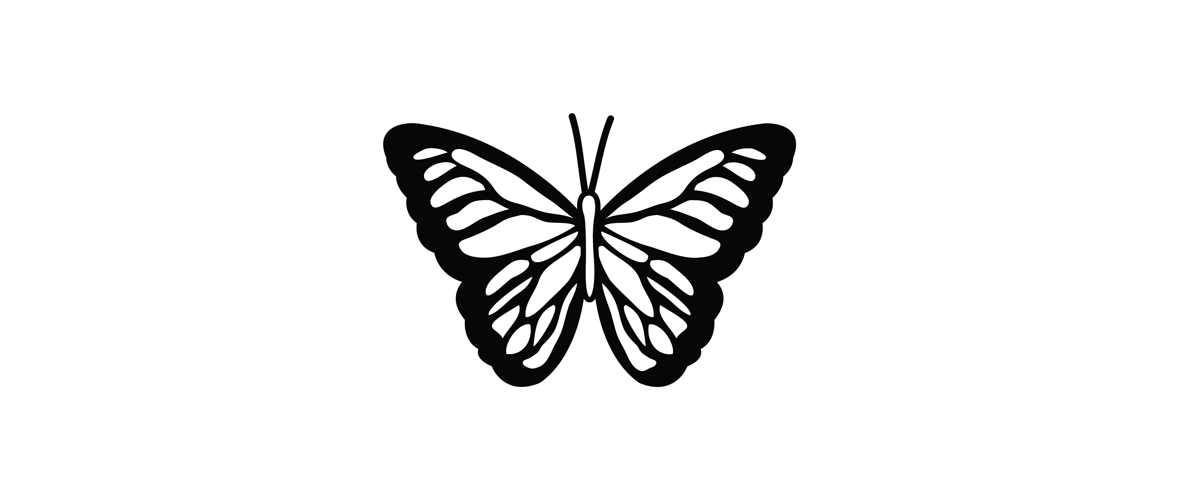 Butterfly black