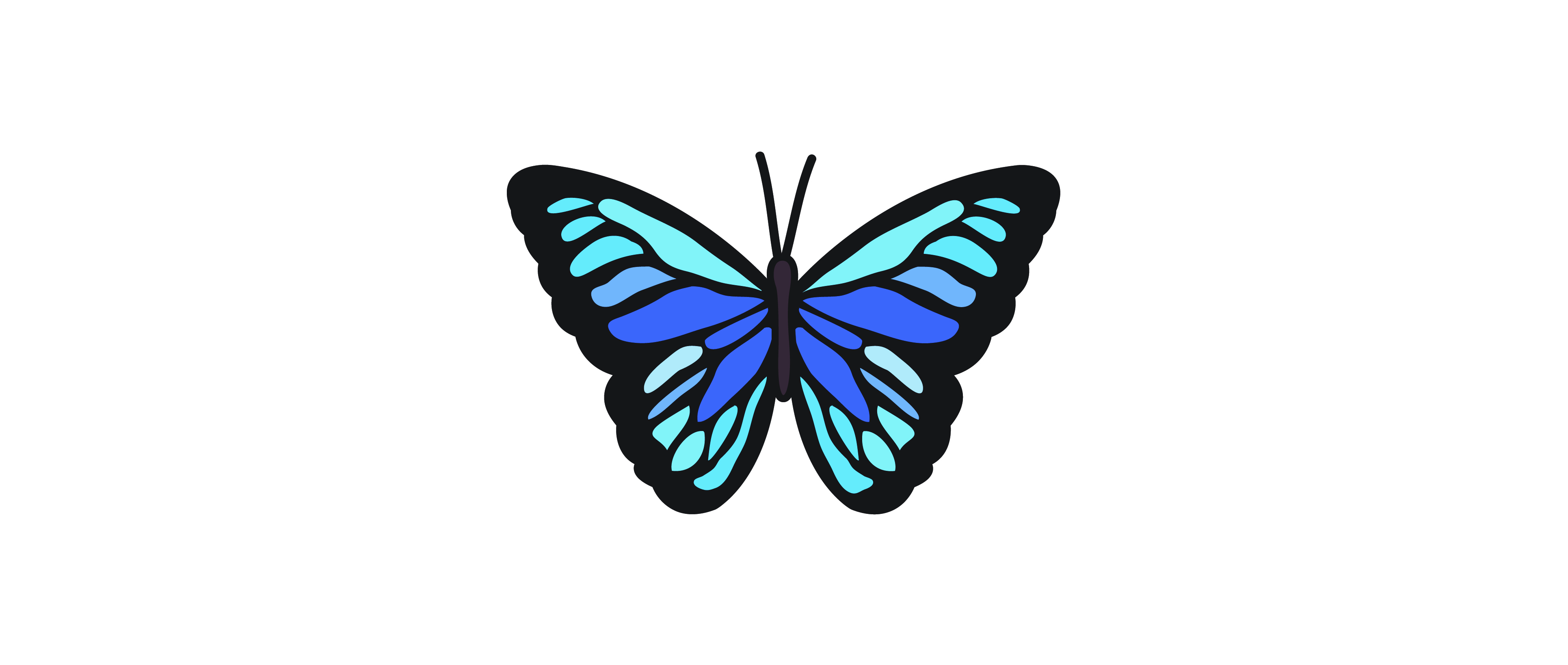 Butterfly full color