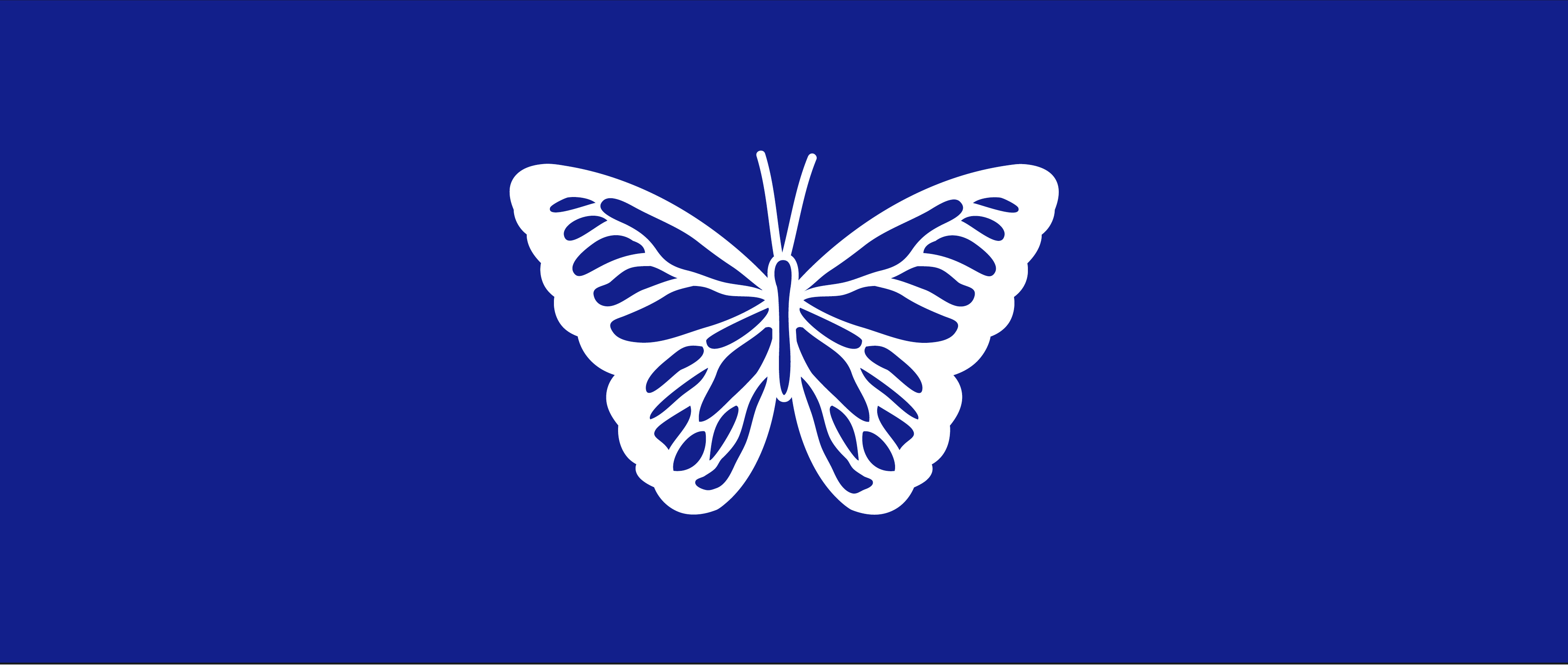 Butterfly white